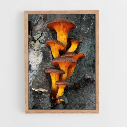 ap-mushroom-5 cadre Bois clair