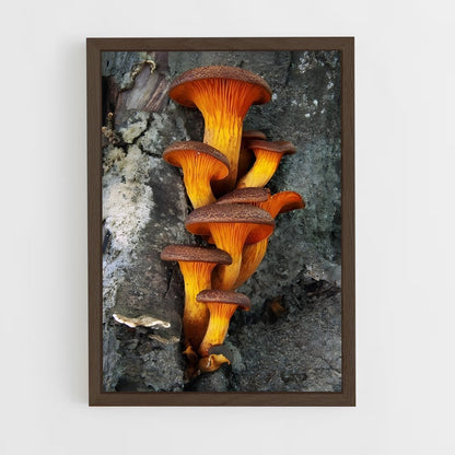 ap-mushroom-5 cadre Bois foncé