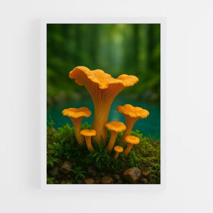 ap-mushroom-6 cadre Blanc