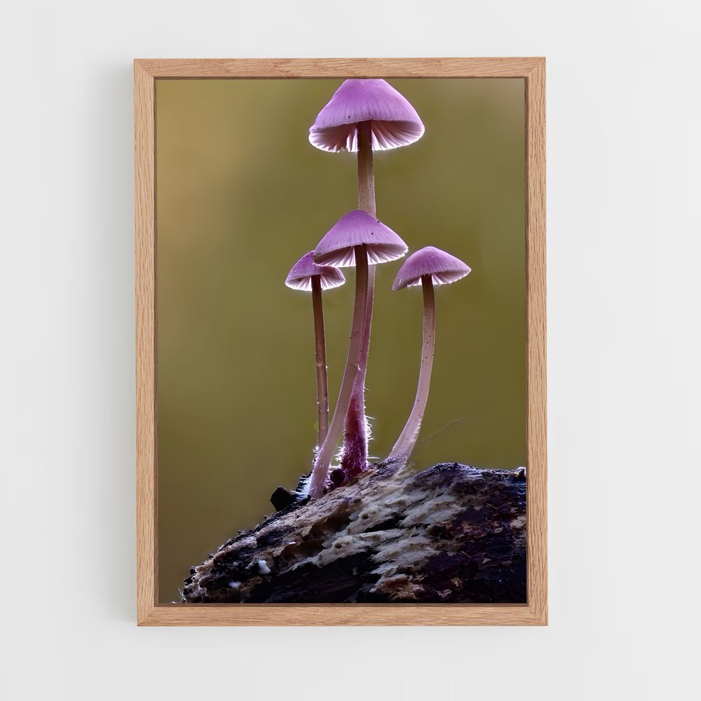 ap-mushroom-7 cadre Bois clair