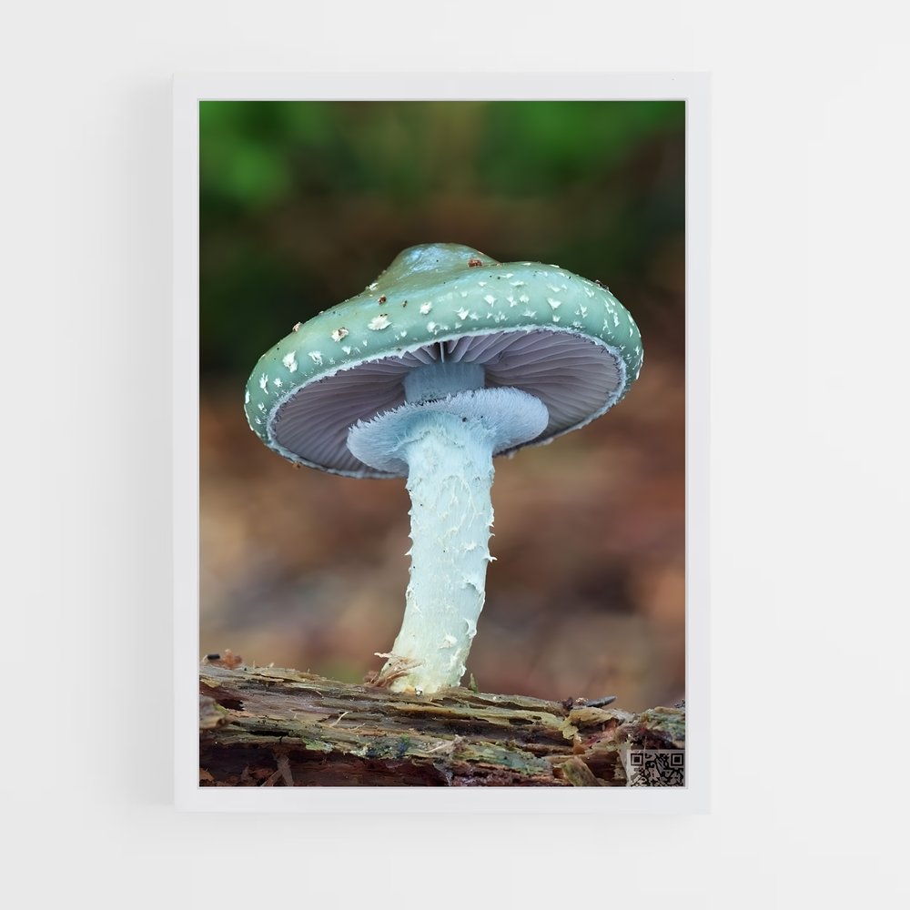 ap-mushroom-8 cadre Blanc