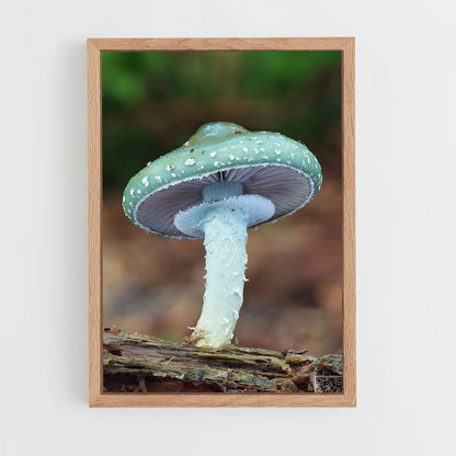 ap-mushroom-8 cadre Bois clair