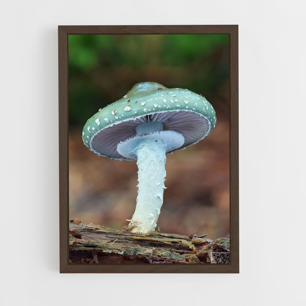 ap-mushroom-8 cadre Bois foncé