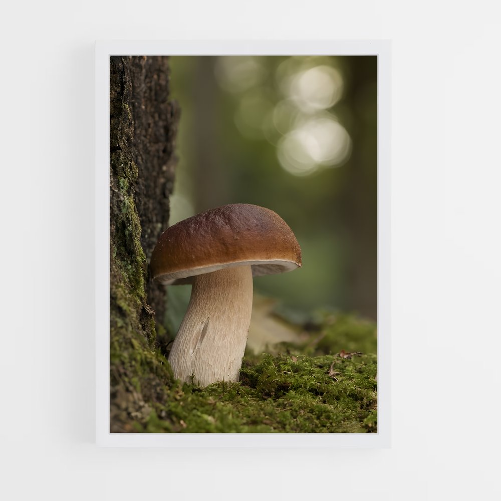 ap-mushroom-9 cadre Blanc