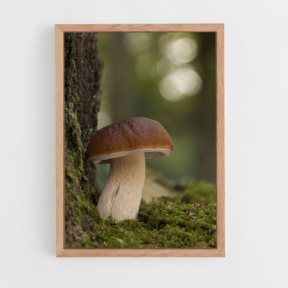 ap-mushroom-9 cadre Bois clair