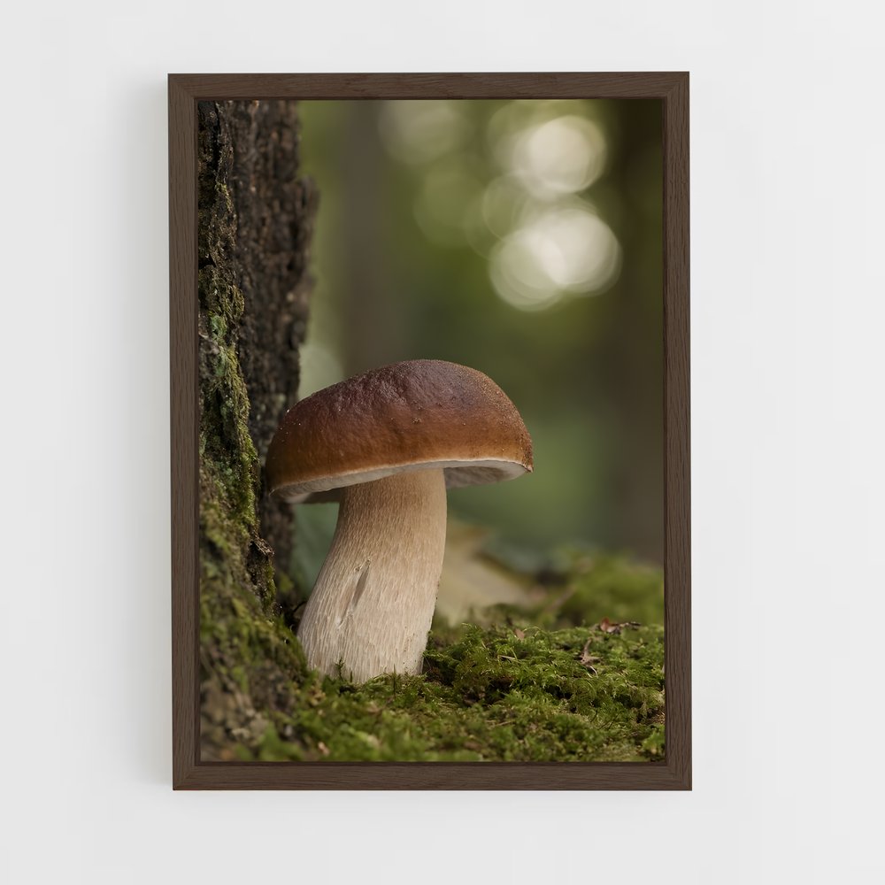 ap-mushroom-9 cadre Bois foncé