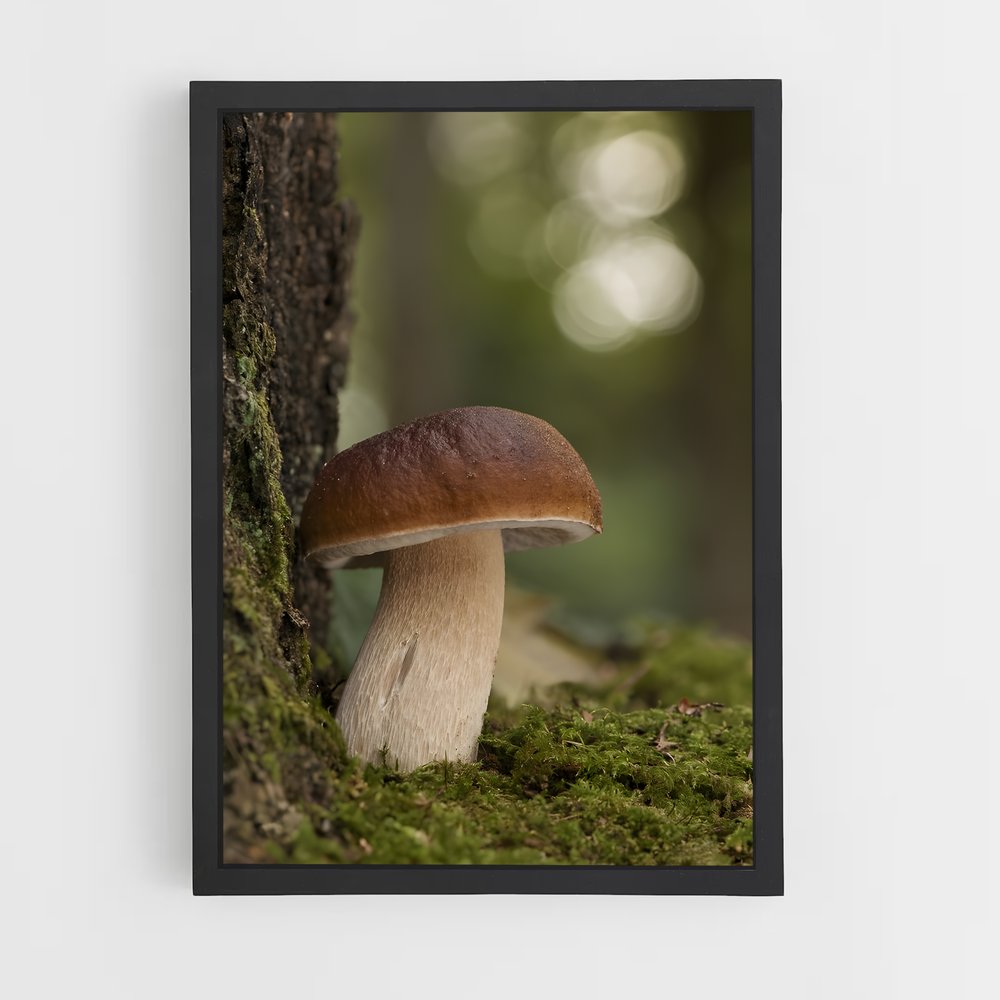 ap-mushroom-9 cadre Noir
