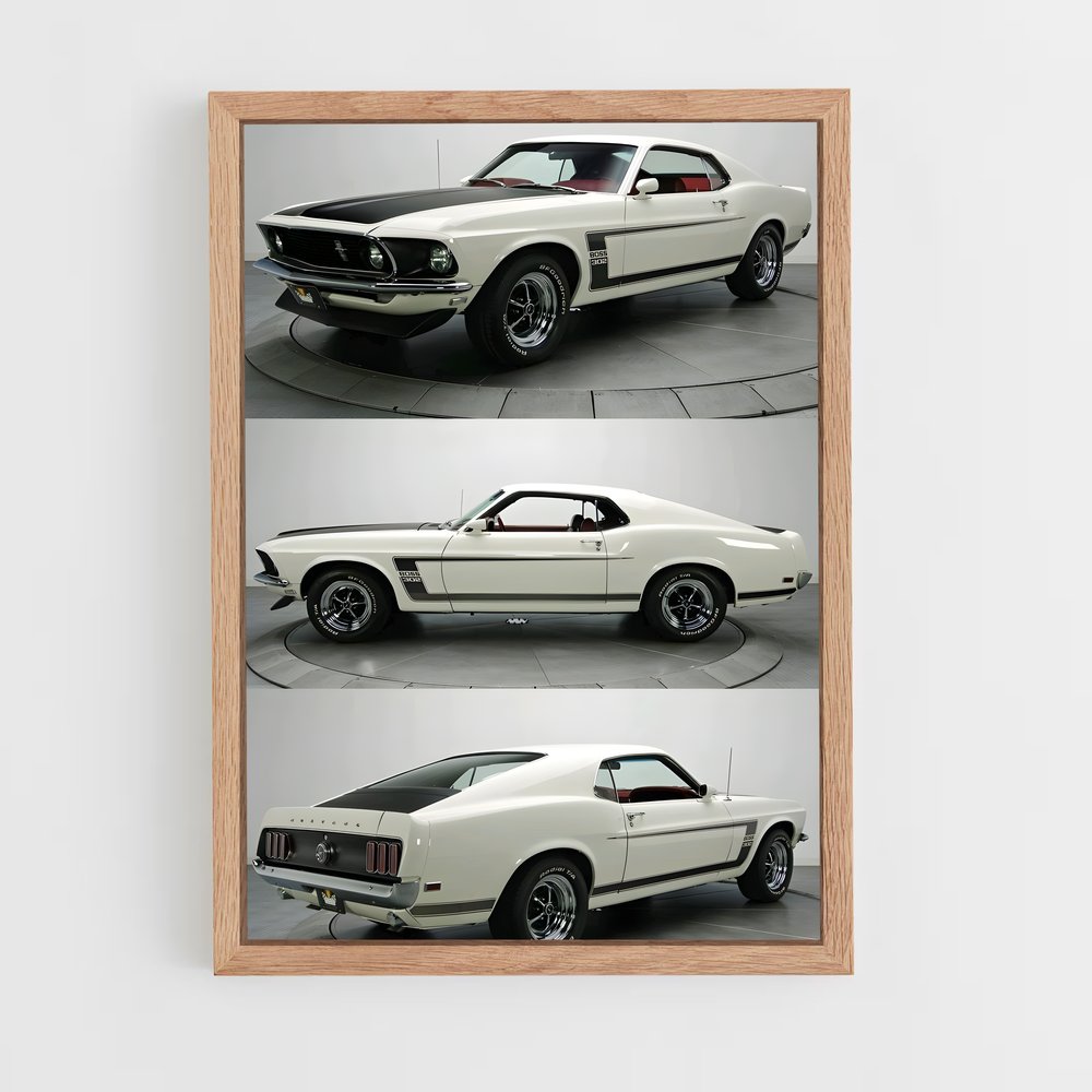 ap-mustang boss 302-1 cadre Bois clair