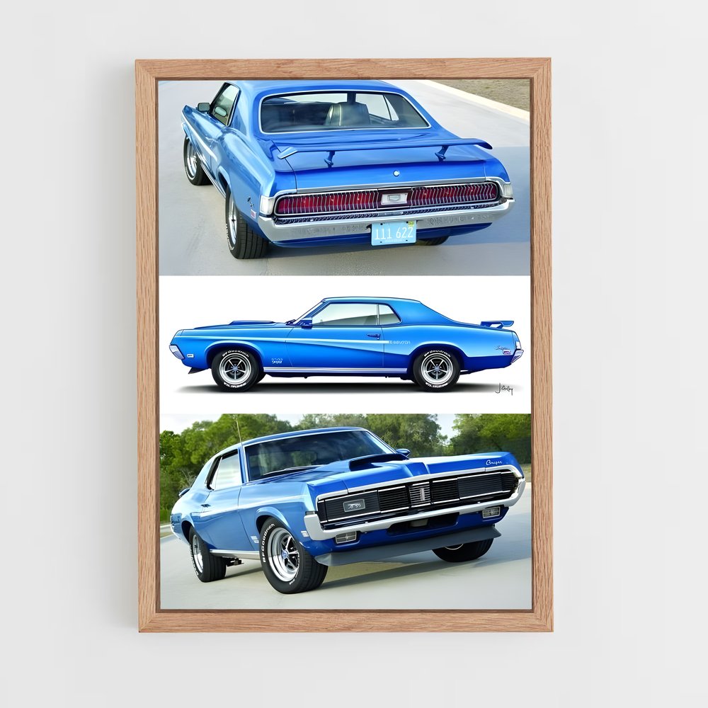 ap-mustang boss 302-4 cadre Bois clair