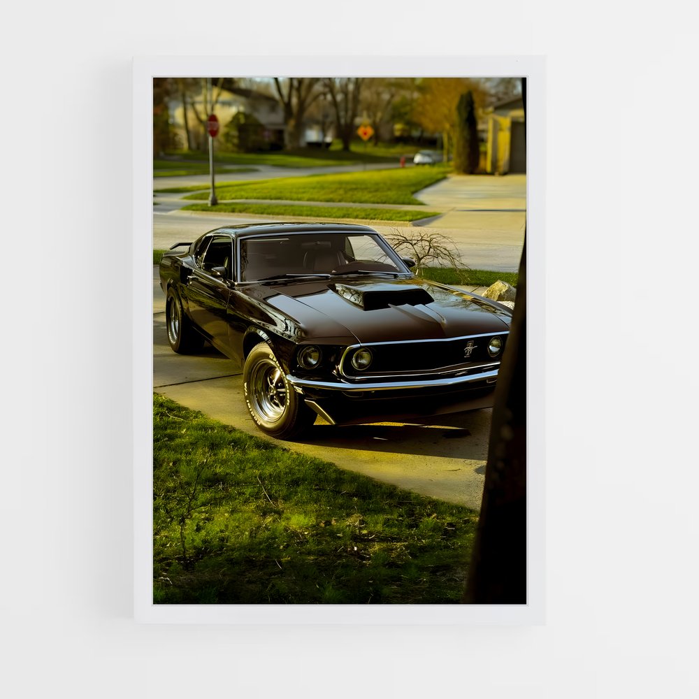 ap-mustang boss 429-2 cadre Blanc