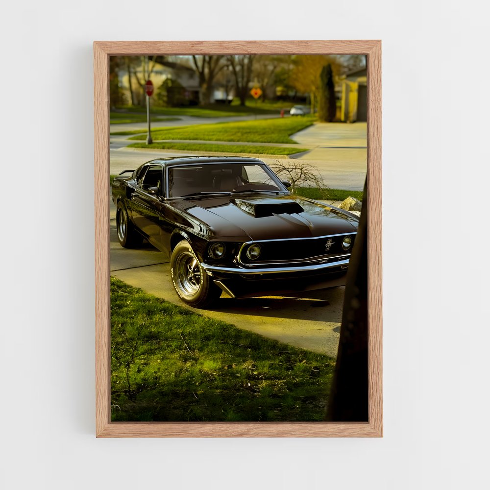 ap-mustang boss 429-2 cadre Bois clair