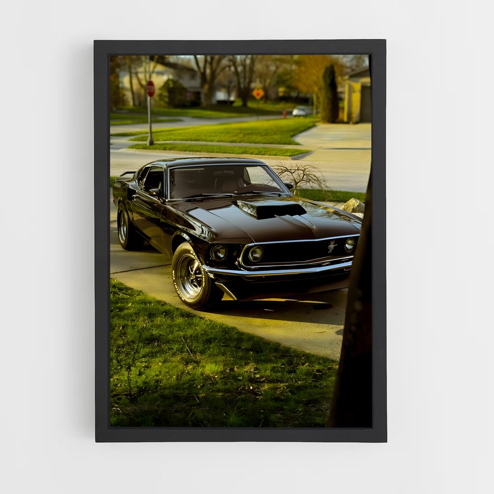 ap-mustang boss 429-2 cadre Noir