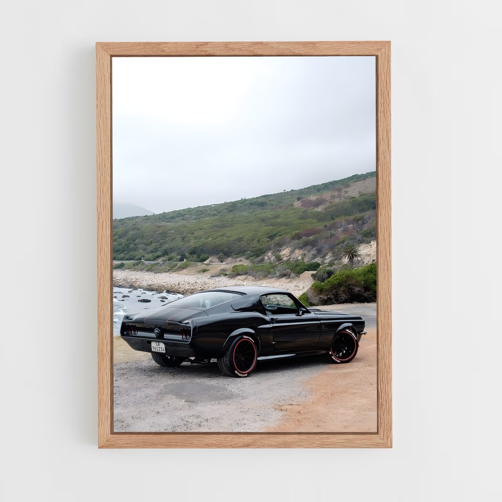 ap-mustang boss 429-3 cadre Bois clair