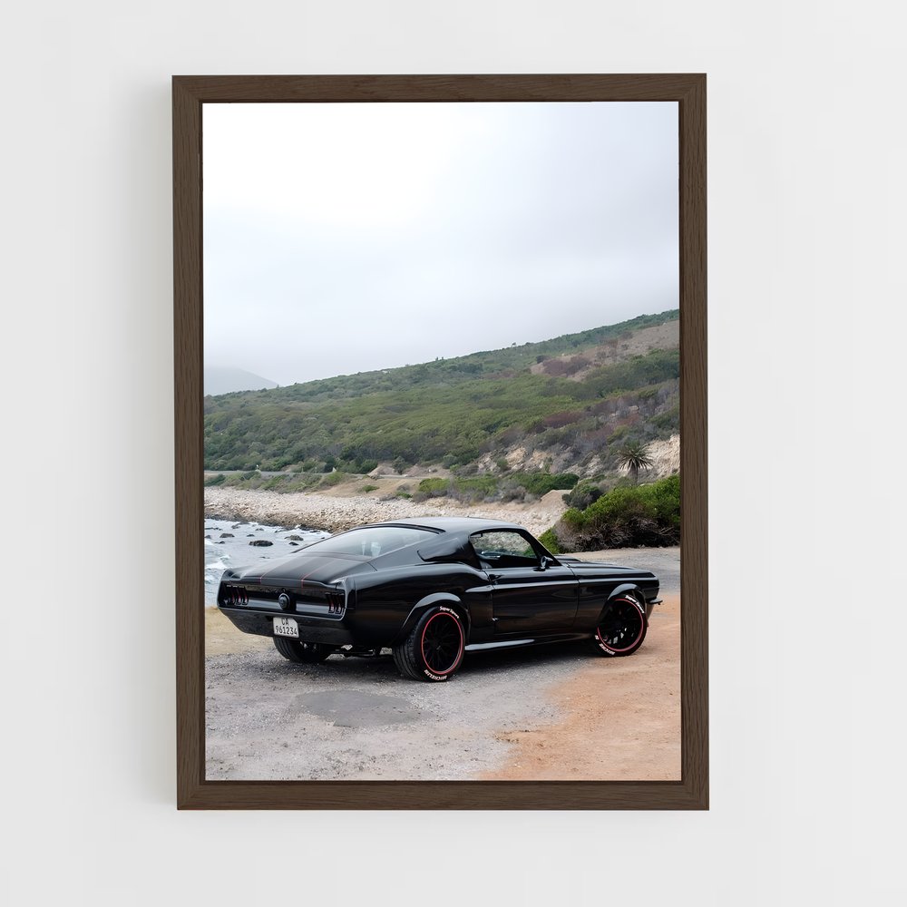 ap-mustang boss 429-3 cadre Bois foncé