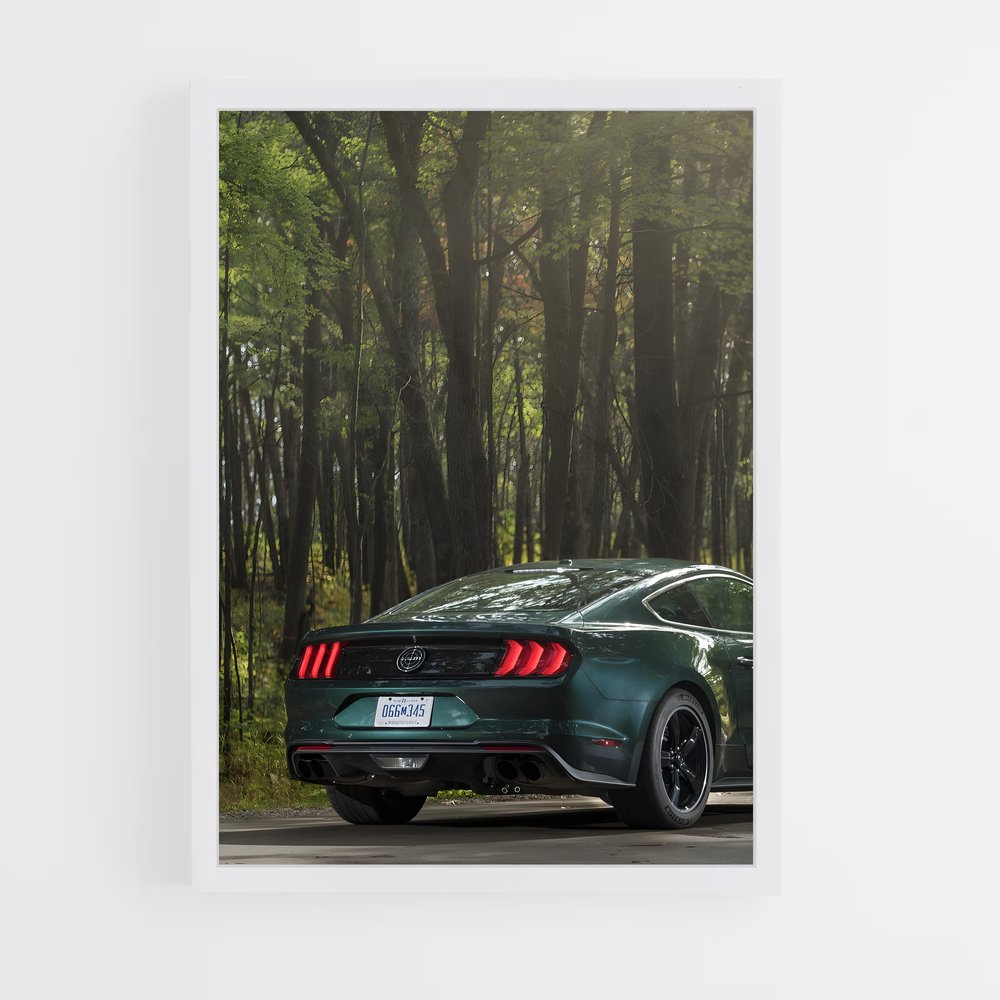 ap-mustang bullitt-2 cadre Blanc