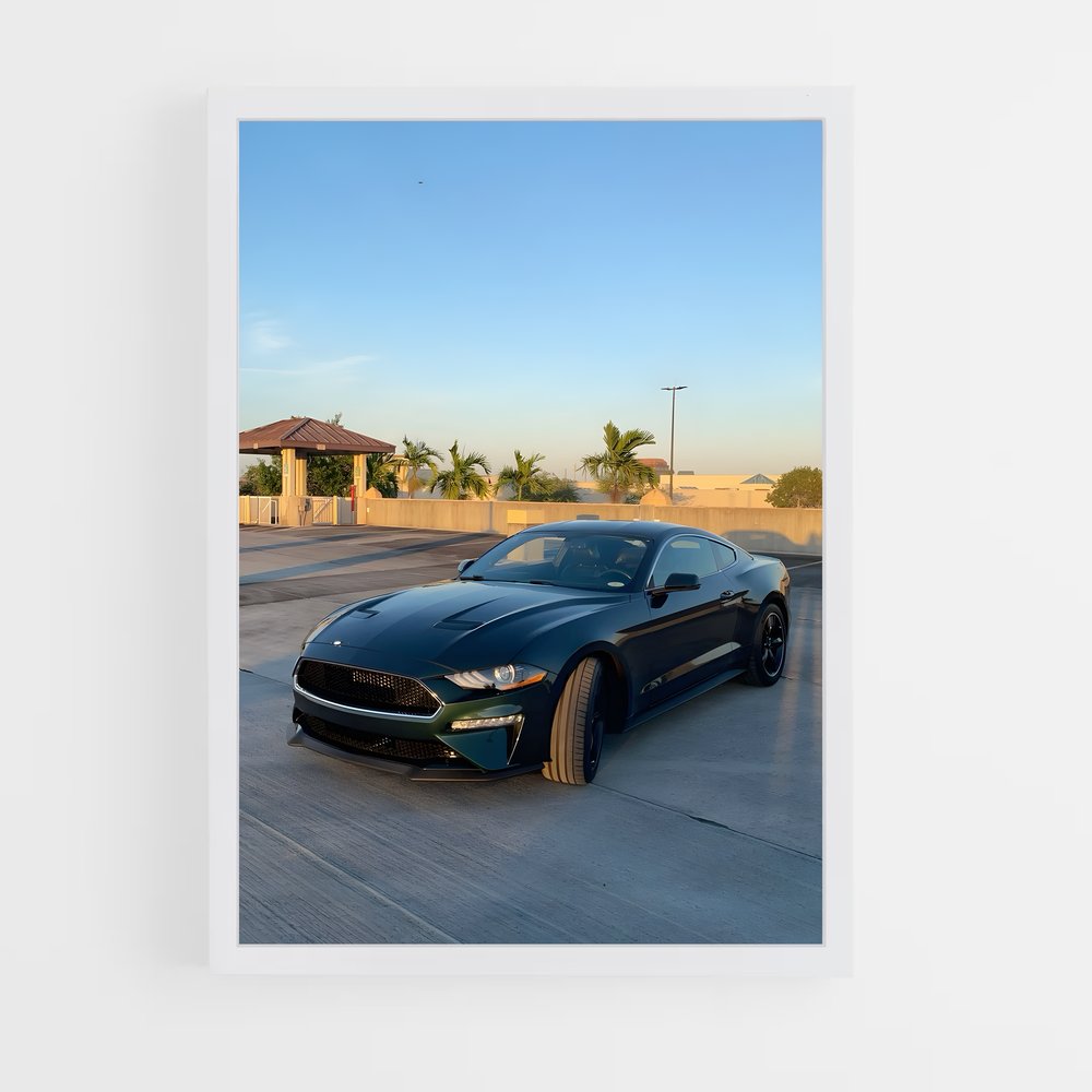 ap-mustang bullitt-6 cadre Blanc