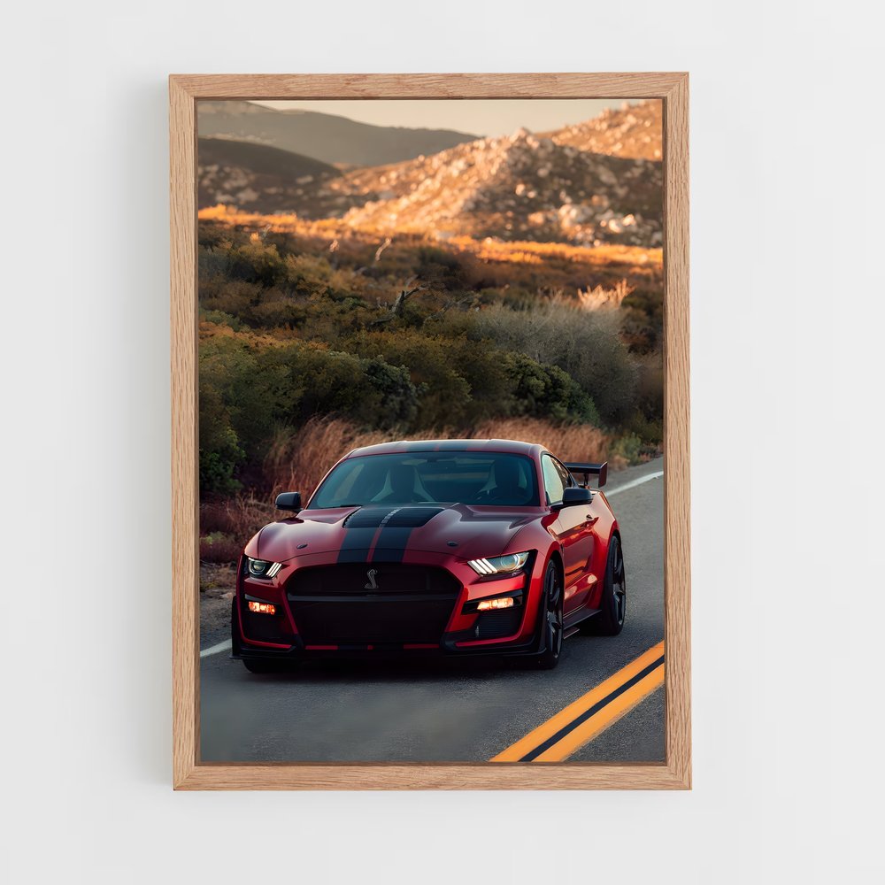 ap-mustang cobra-1 cadre Bois clair