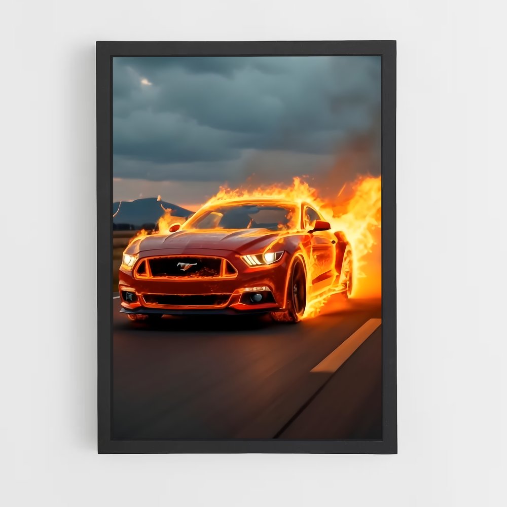 ap-mustang cobra-5 cadre Noir