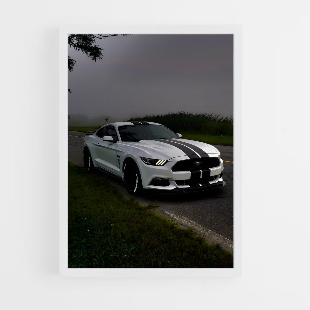 ap-mustang gt350r-2 cadre Blanc