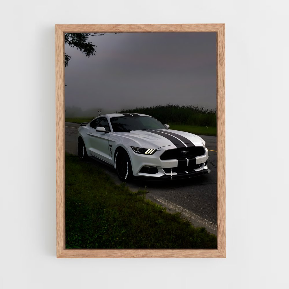 ap-mustang gt350r-2 cadre Bois clair