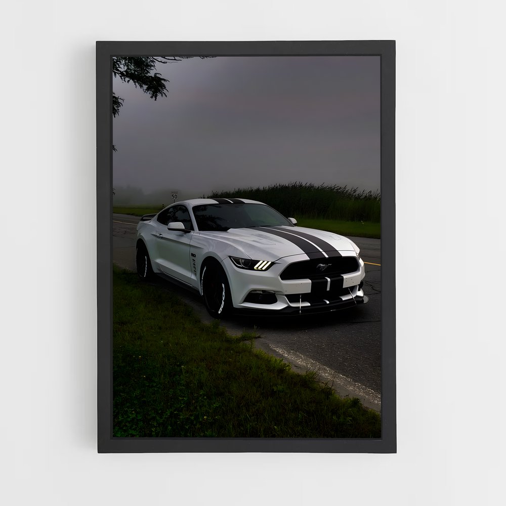 ap-mustang gt350r-2 cadre Noir
