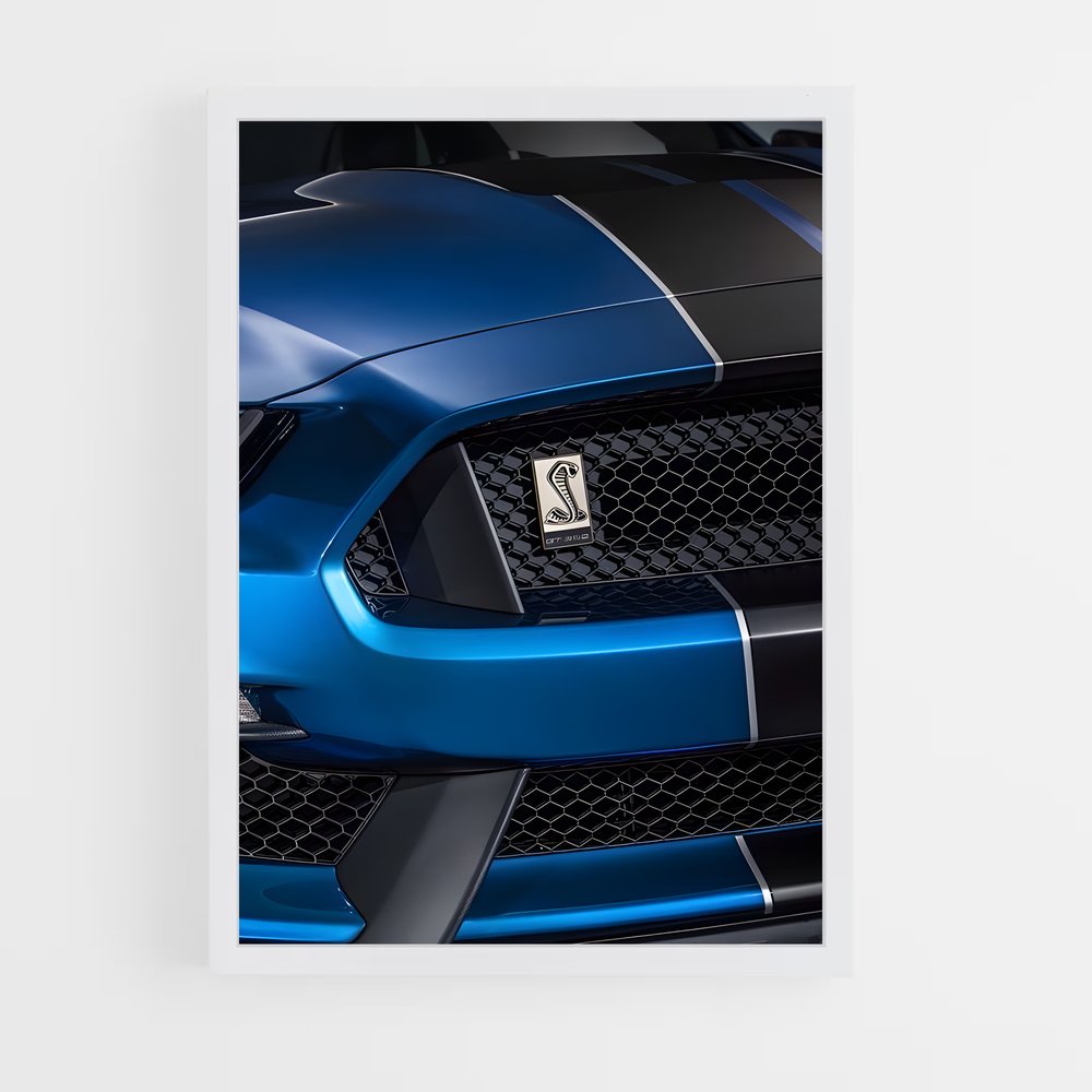 ap-mustang gt350r-4 cadre Blanc