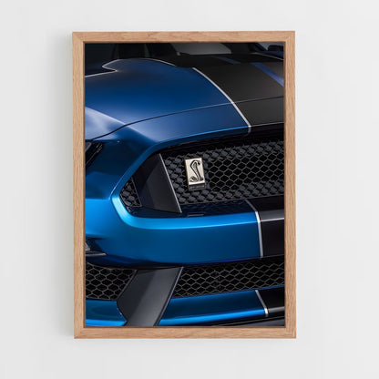 ap-mustang gt350r-4 cadre Bois clair