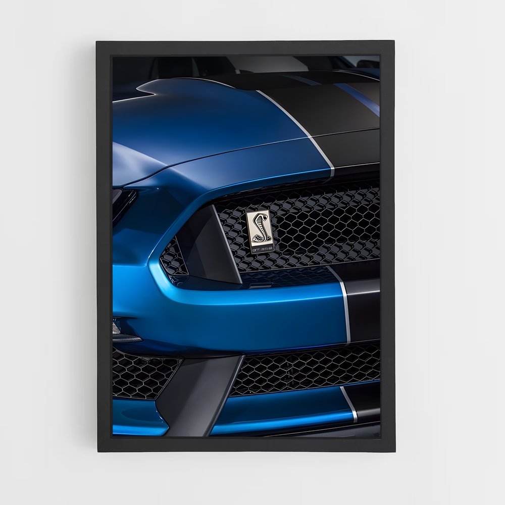 ap-mustang gt350r-4 cadre Noir