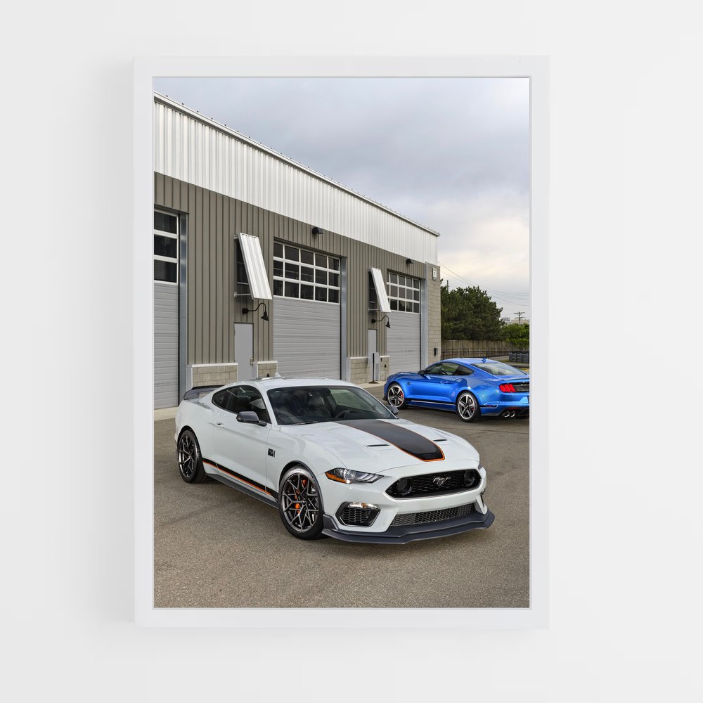 ap-mustang mach 1-1 cadre Blanc