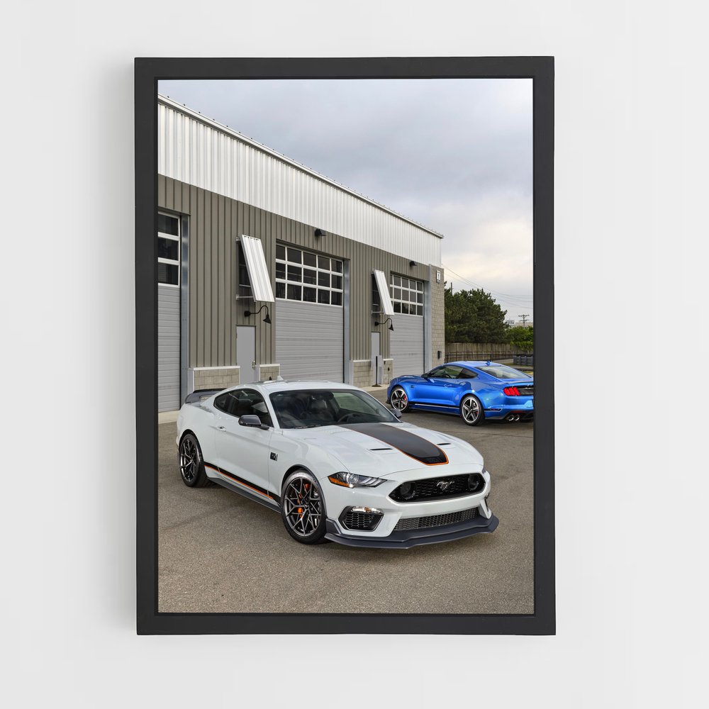 ap-mustang mach 1-1 cadre Noir