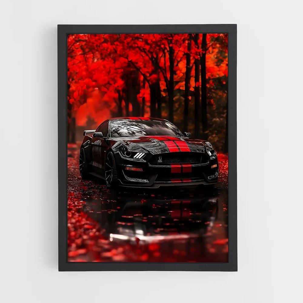 ap-mustang shelby-1 cadre Noir