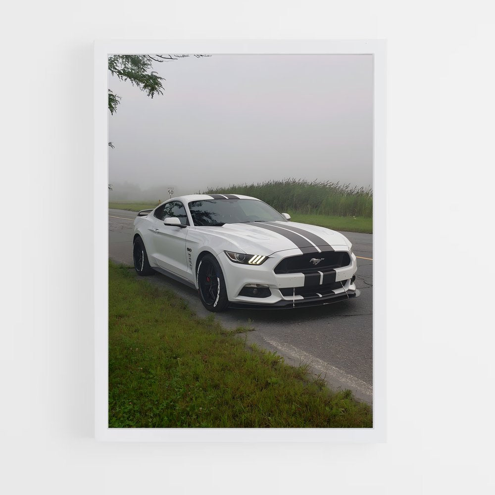 ap-mustang shelby-2 cadre Blanc