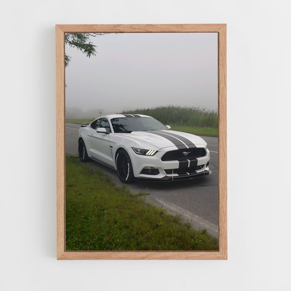 ap-mustang shelby-2 cadre Bois clair