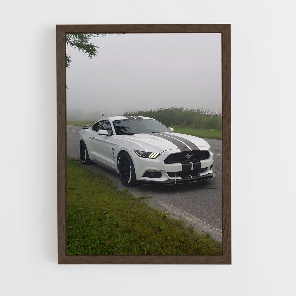 ap-mustang shelby-2 cadre Bois foncé