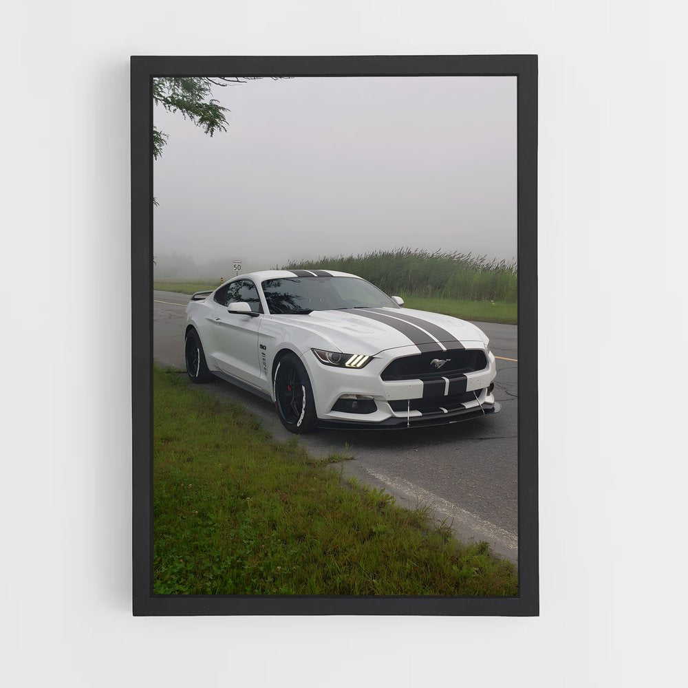 ap-mustang shelby-2 cadre Noir