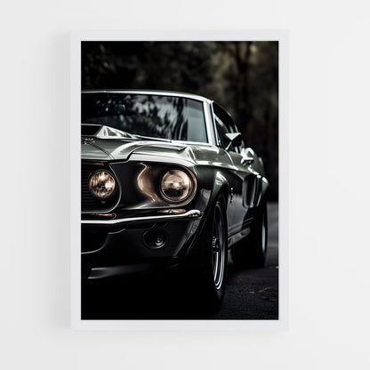ap-mustang shelby-3 cadre Blanc