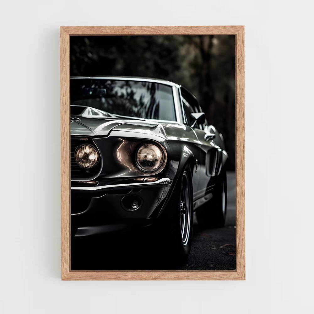 ap-mustang shelby-3 cadre Bois clair