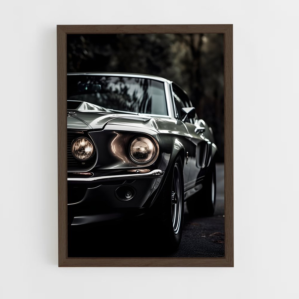 ap-mustang shelby-3 cadre Bois foncé