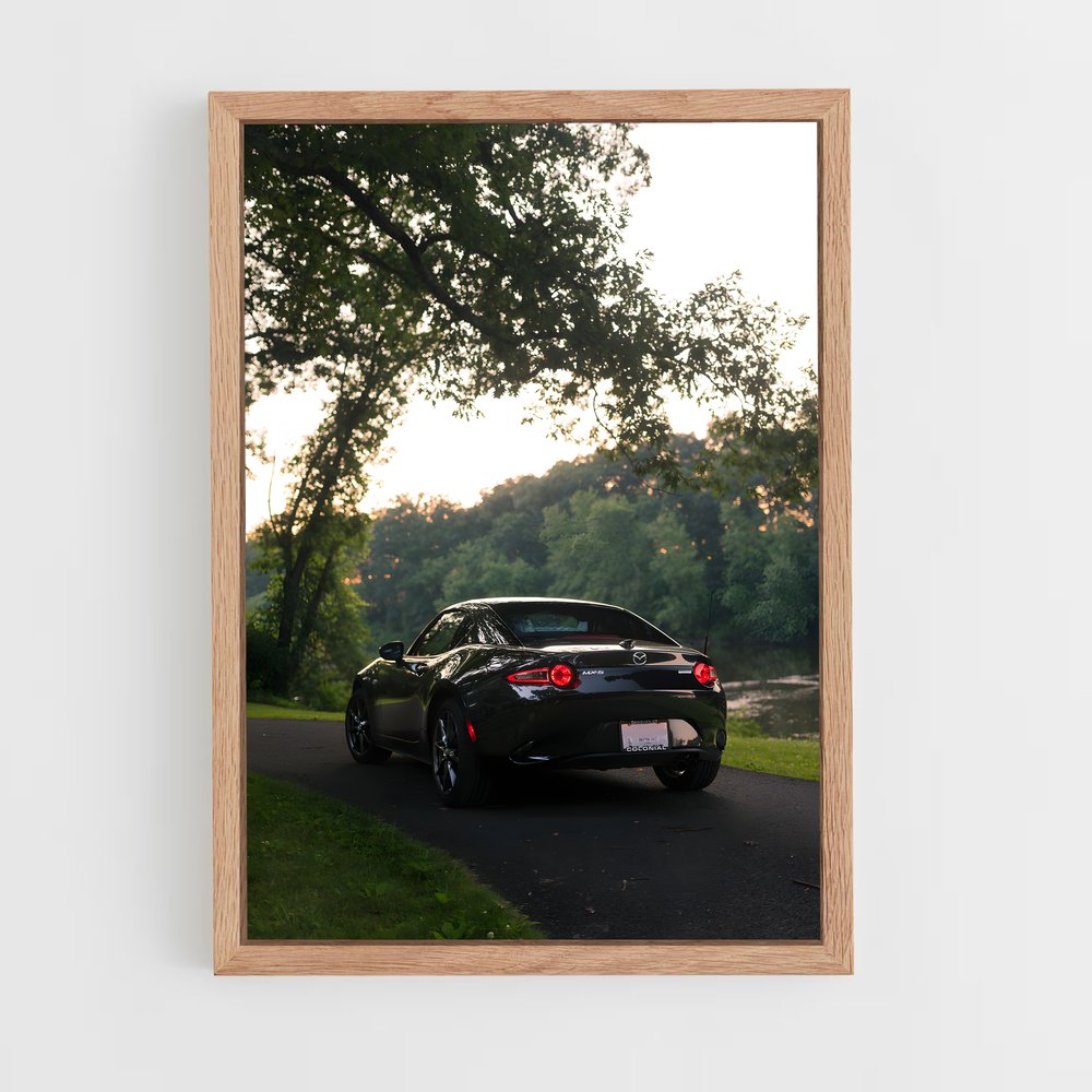 ap-mx-5 rf-3 cadre Bois clair