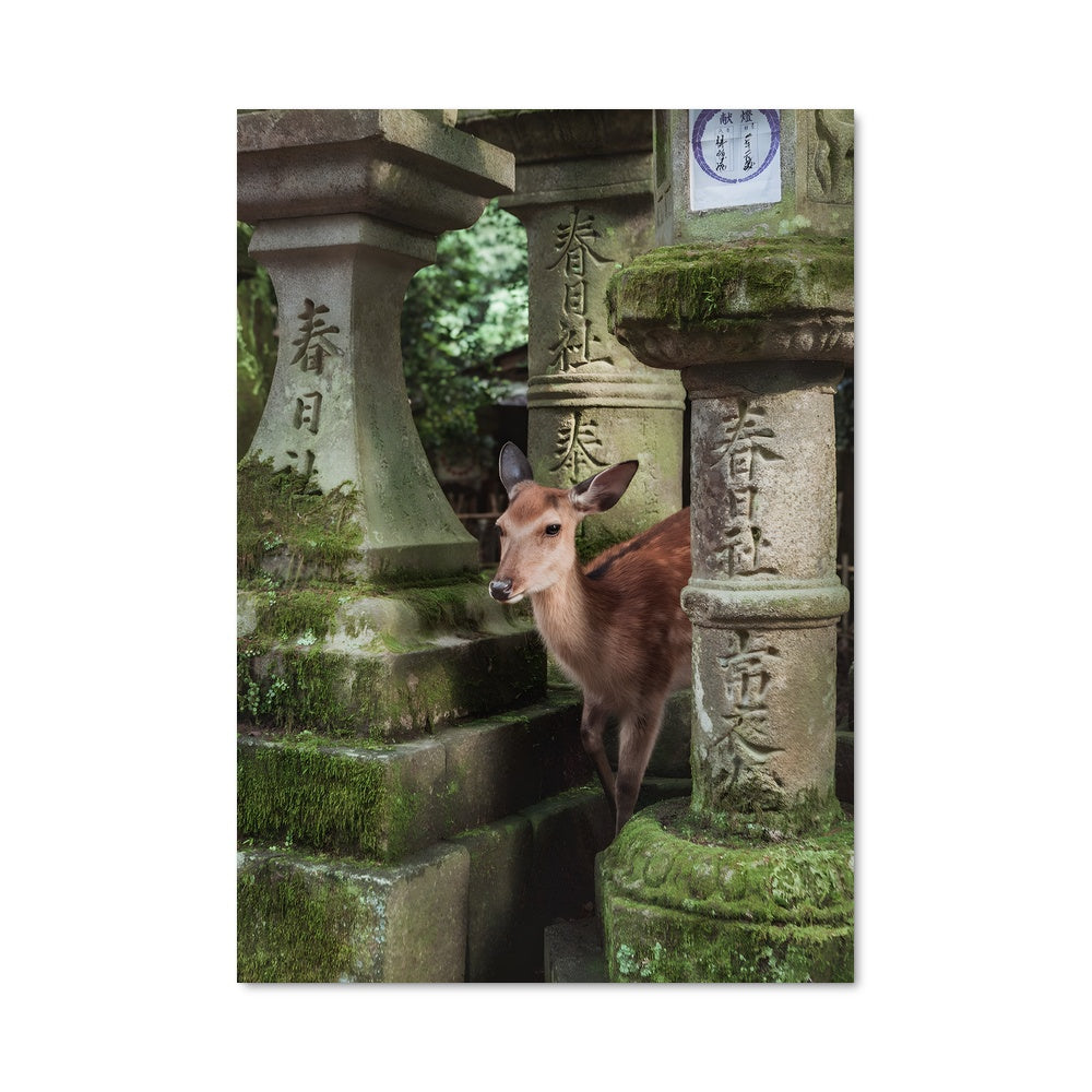 Poster Cerf de Nara