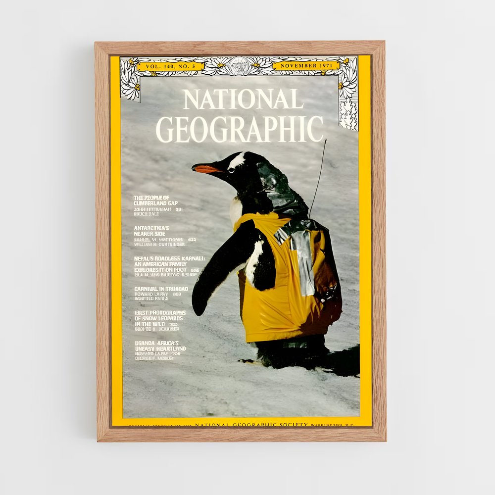 ap-national geographic-1 cadre Bois clair