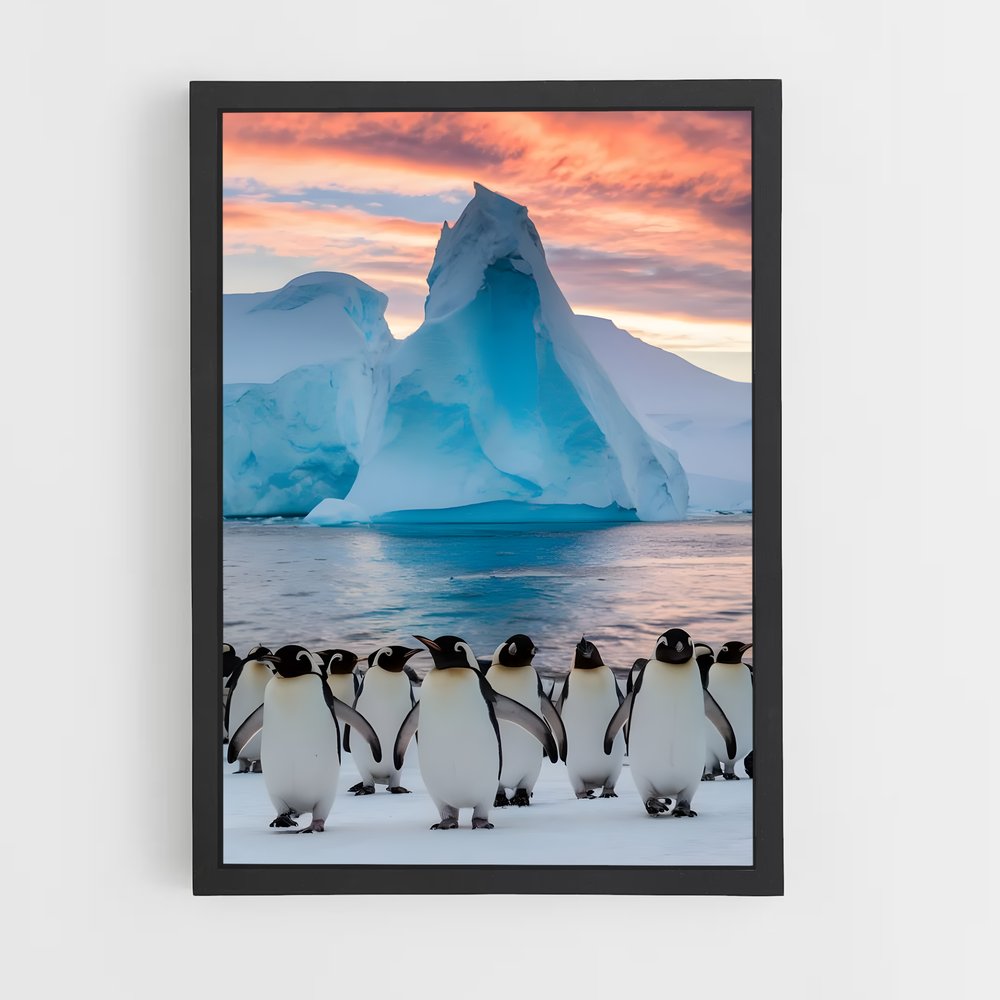 ap-national geographic-10 cadre Noir