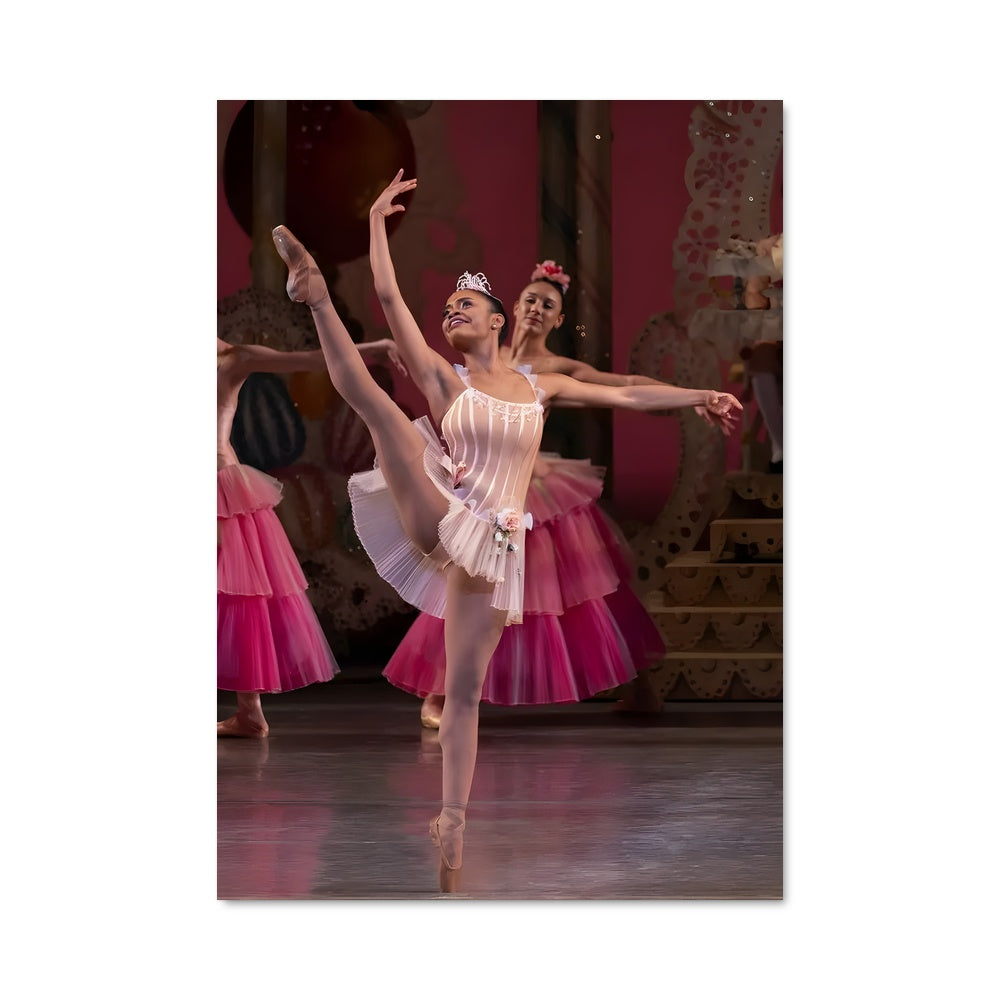 Poster Ballet Étoilé