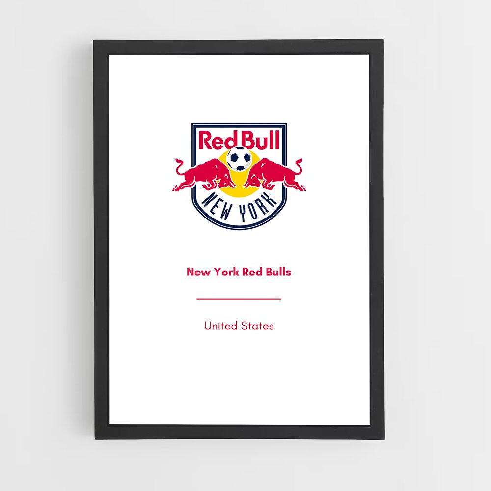ap-new york red bulls-3 cadre Noir