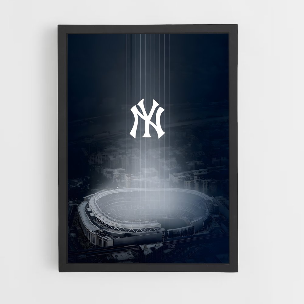ap-new york yankees-6 cadre Noir