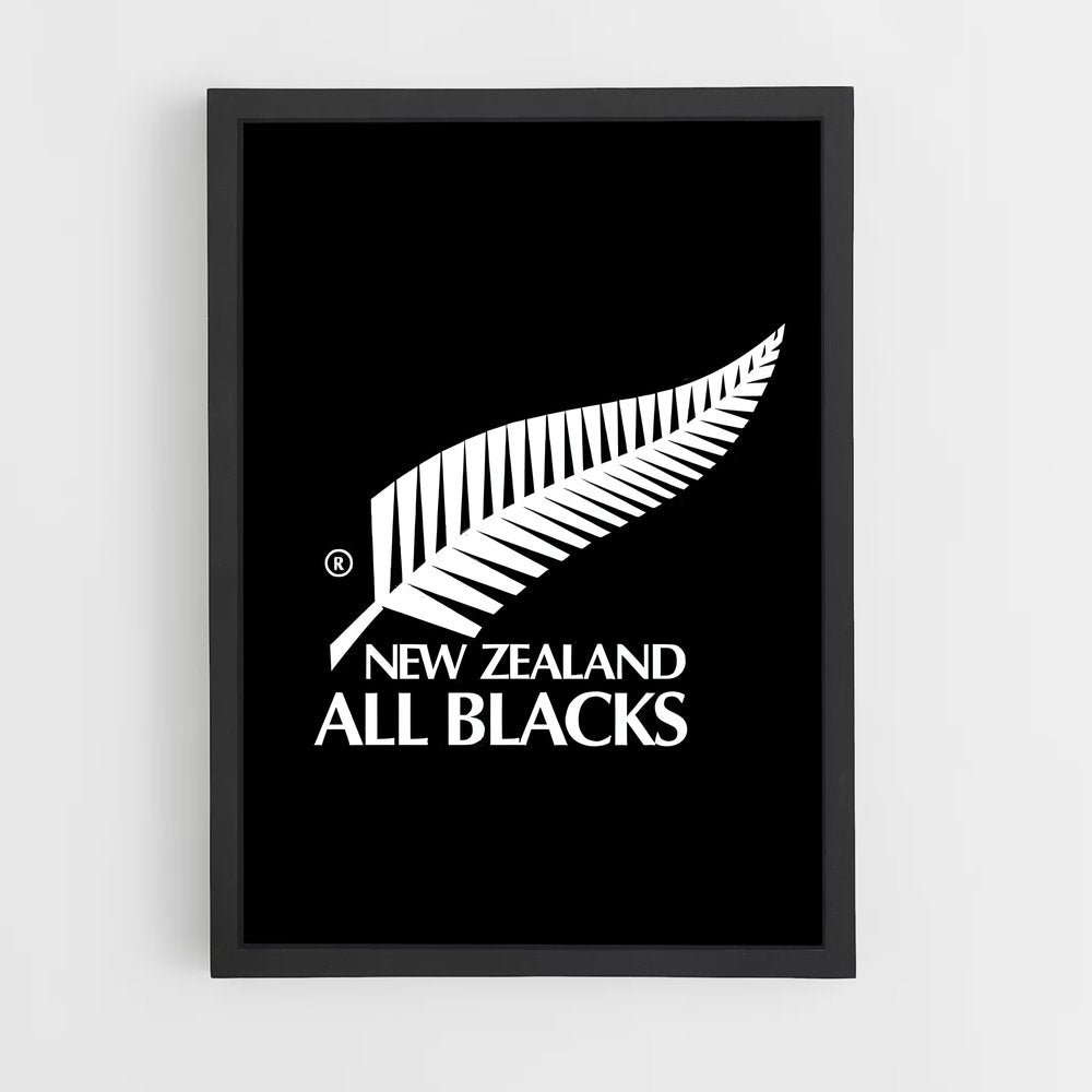 ap-new zealand national football team-1 cadre Noir