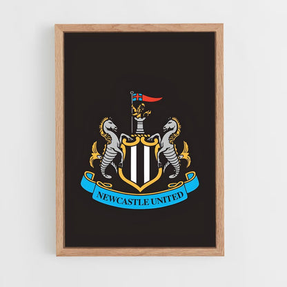 ap-newcastle united fc-9 cadre Bois clair