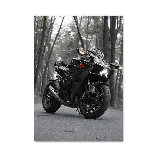 Poster Ninja h2r 82402