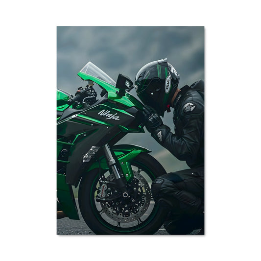 Poster Ninja h2r 82408