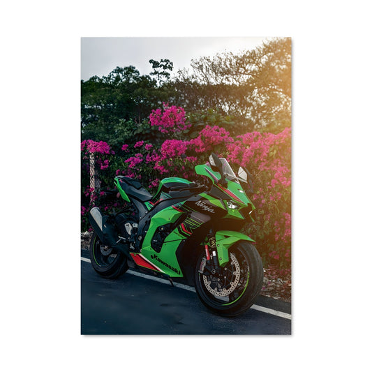 Poster Vitesse Verdoit